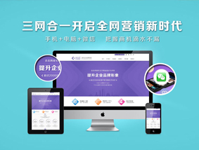 企業(yè)網(wǎng)站解決方案